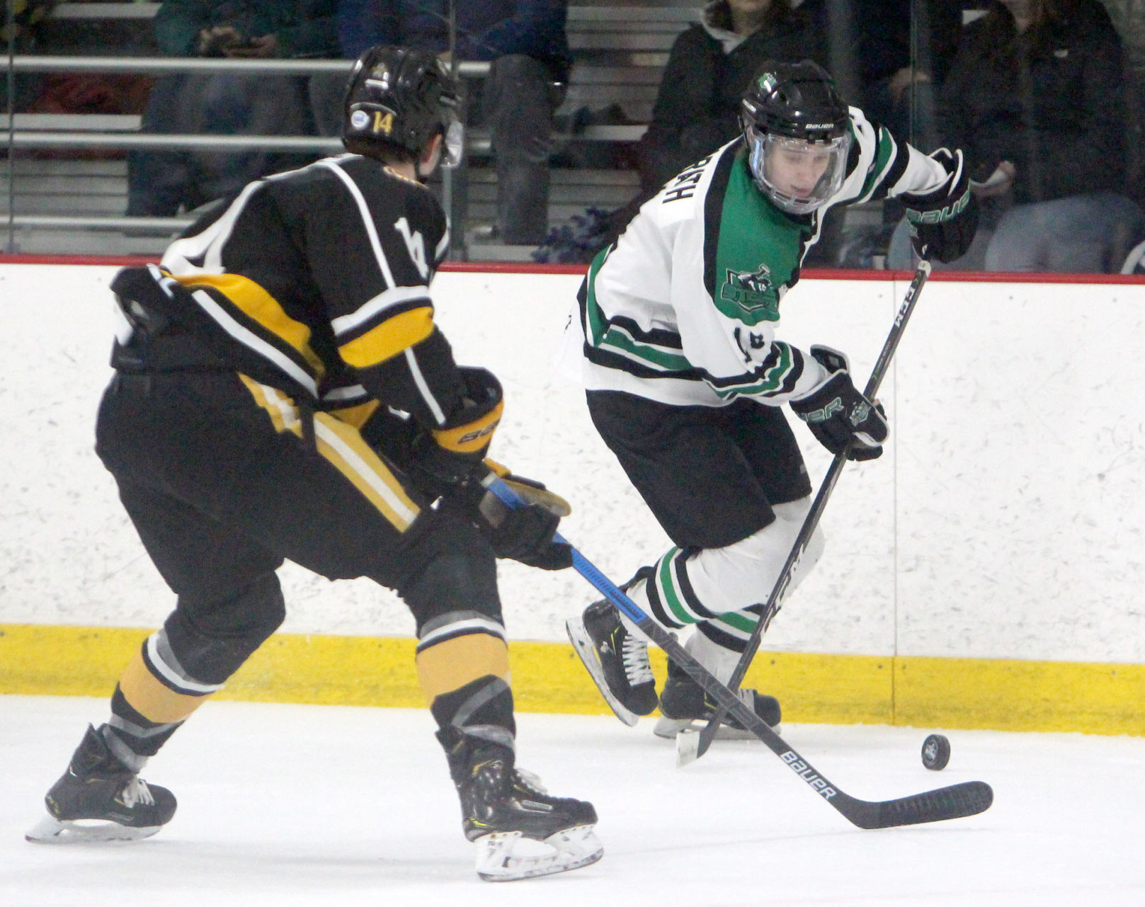 Austin Bruins at Chippewa Steel 1-25-20
